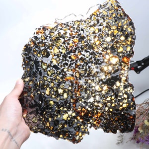 Beautiful SERICHO pallasite Meteorite slice - from Kenya D2727
