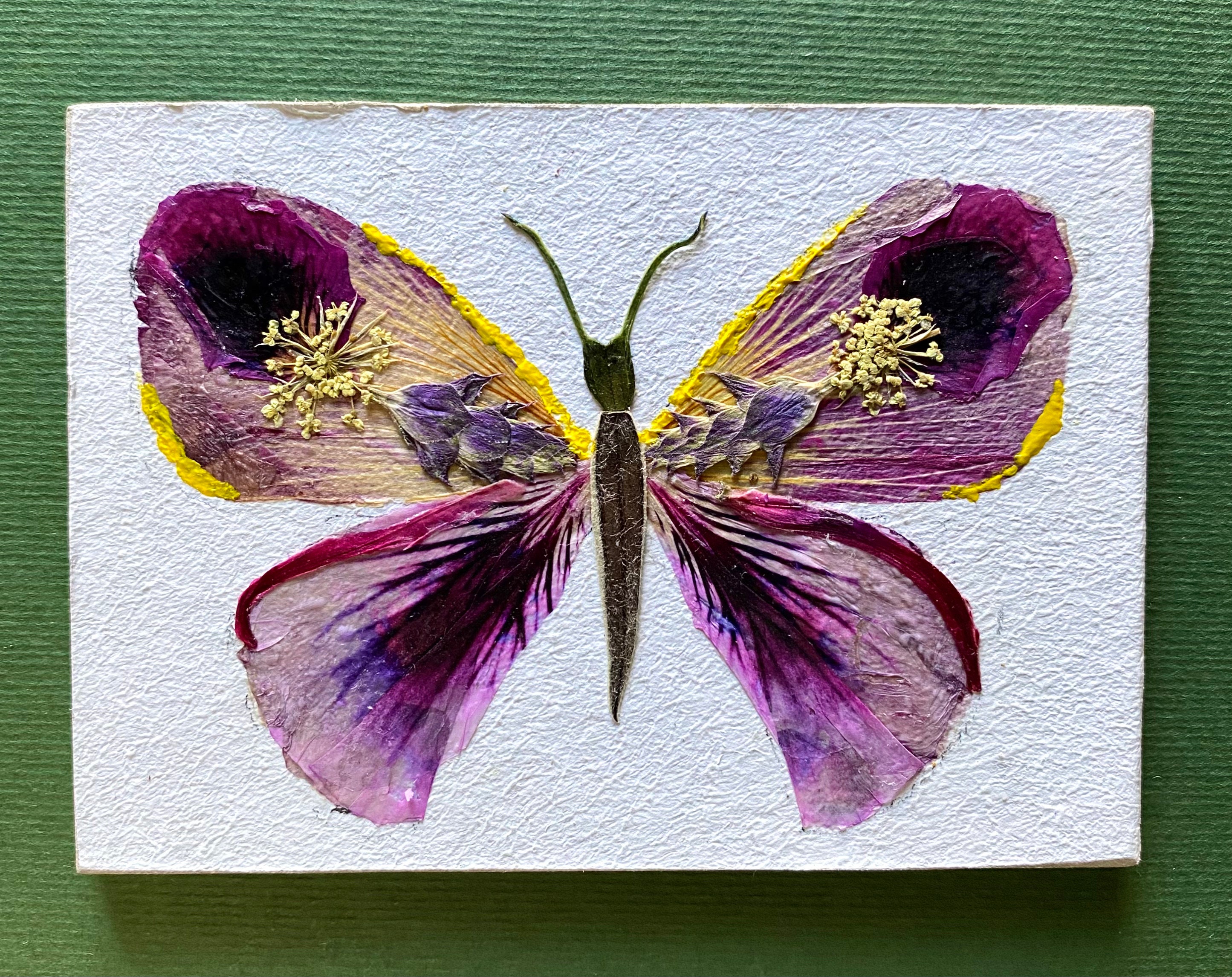 ACEO Original Pressed flower Art Butterfly Abstract Art Etsy