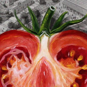 May include: A close-up of a red tomato cut in half, showing the inside with seeds and a white core. The tomato is on a green stem with leaves.