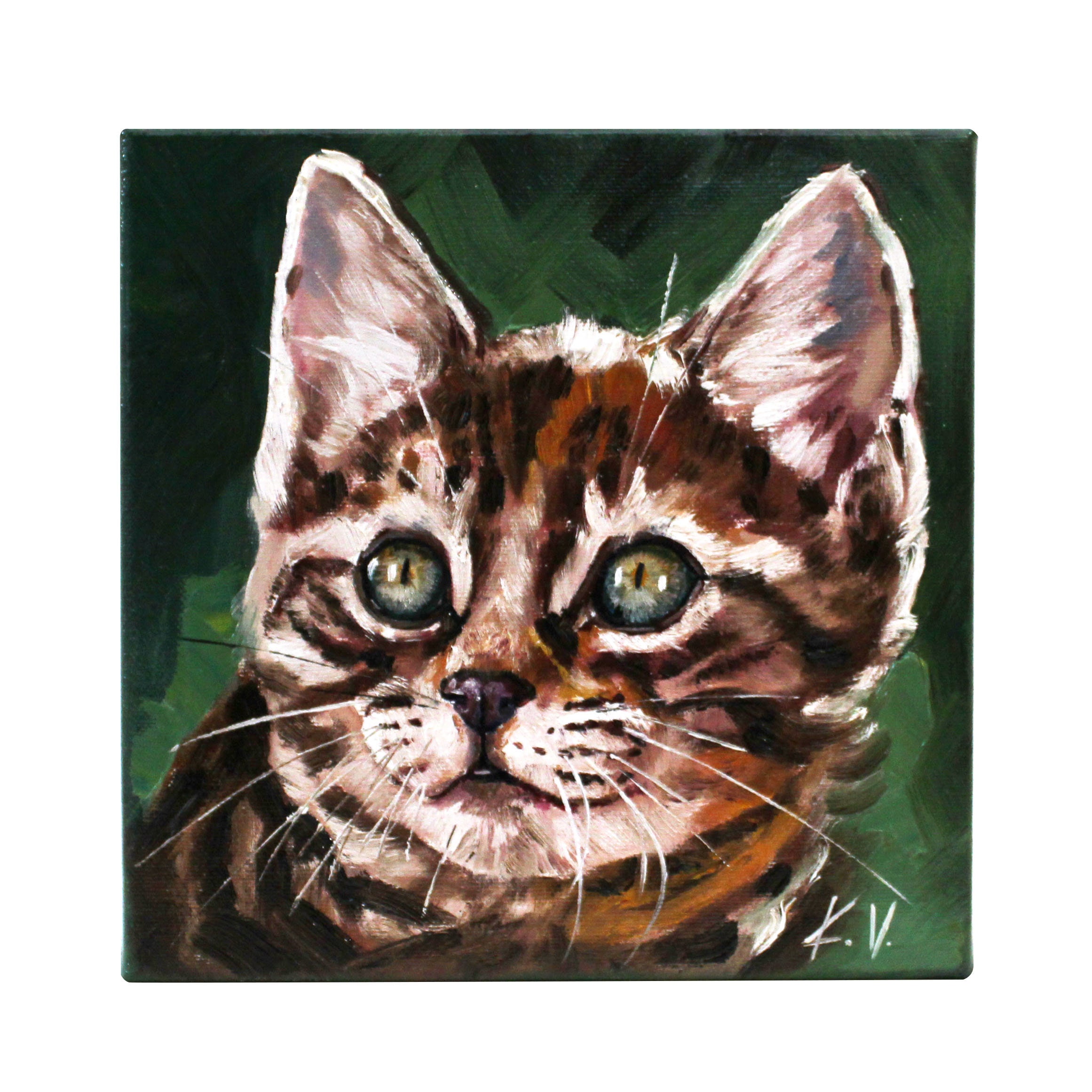 Cat Oil Painting on Canvas Original Animal Art Home Decor Etsy
