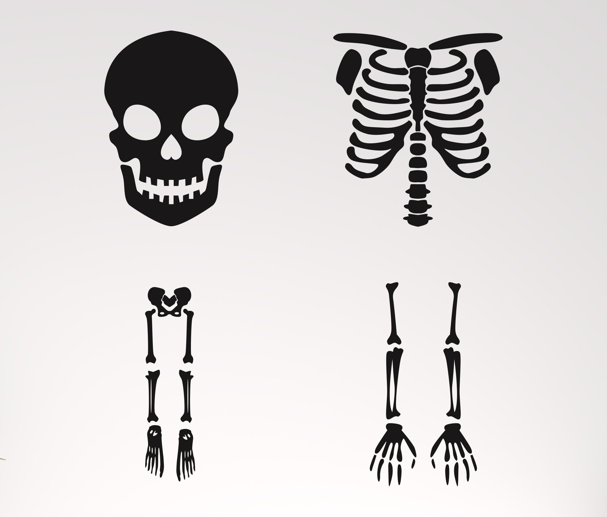 Skeleton Parts Svg Skeleton Svg Body Parts Svg Halloween Etsy