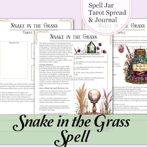 May include: A set of tarot cards and a journal titled "Snake in the Grass Spell." The design includes illustrations of a spell jar, crystals, and botanical elements. The theme is related to spirituality and divination.