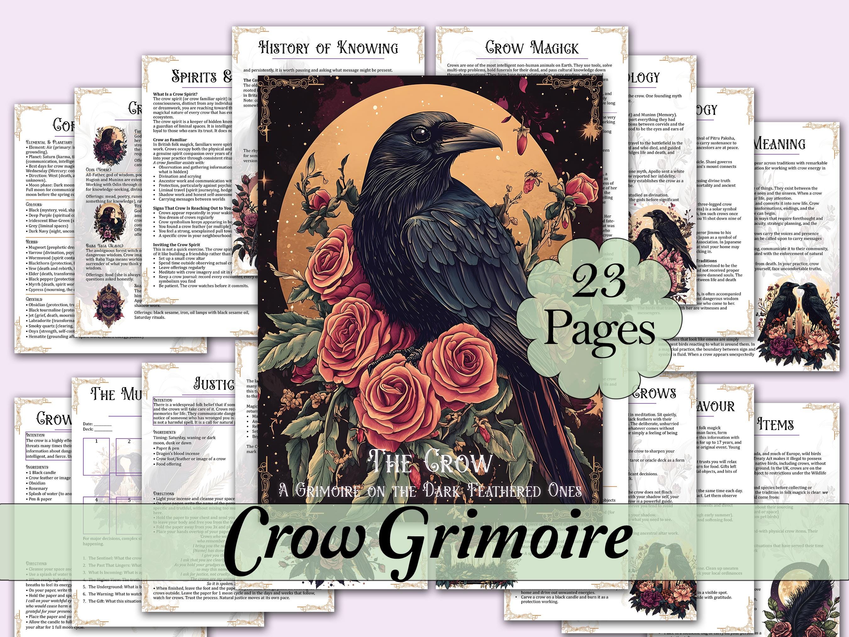 Crow's Magick Tarot - Etsy