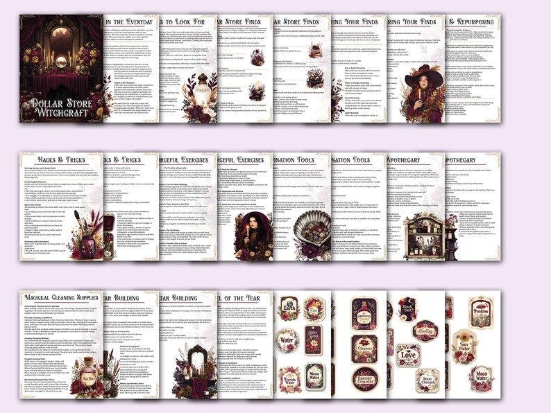 May include: A collection of pages from a book titled "Dollar Store Witchcraft." The pages feature text and illustrations on various topics, including store finds, hacks, and exercises. Decorative elements include floral arrangements and apothecary-style labels.