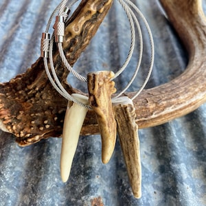 3 pack! Antler keychains. Deer antler key chain. Elk antler keychain.