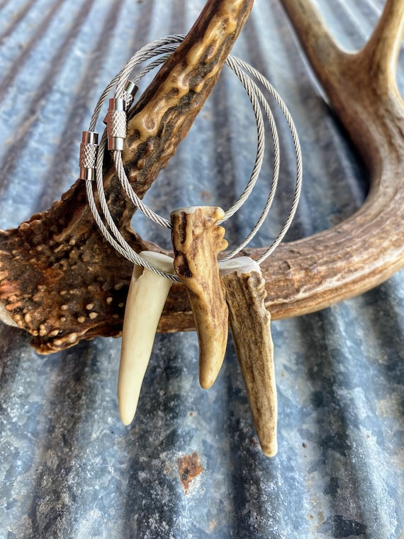 3 Pack Antler Keychains. Deer Antler Key Chain. Elk Antler Keychain. Etsy