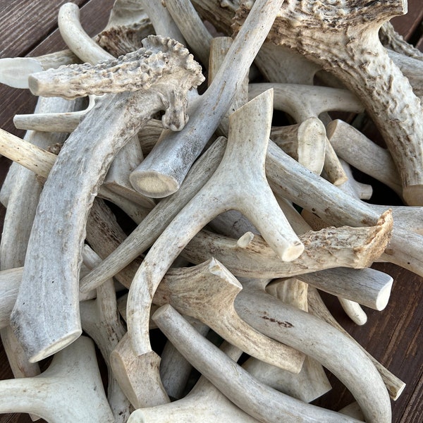 1 pound value pack! Economy bundle. B grade antler chews