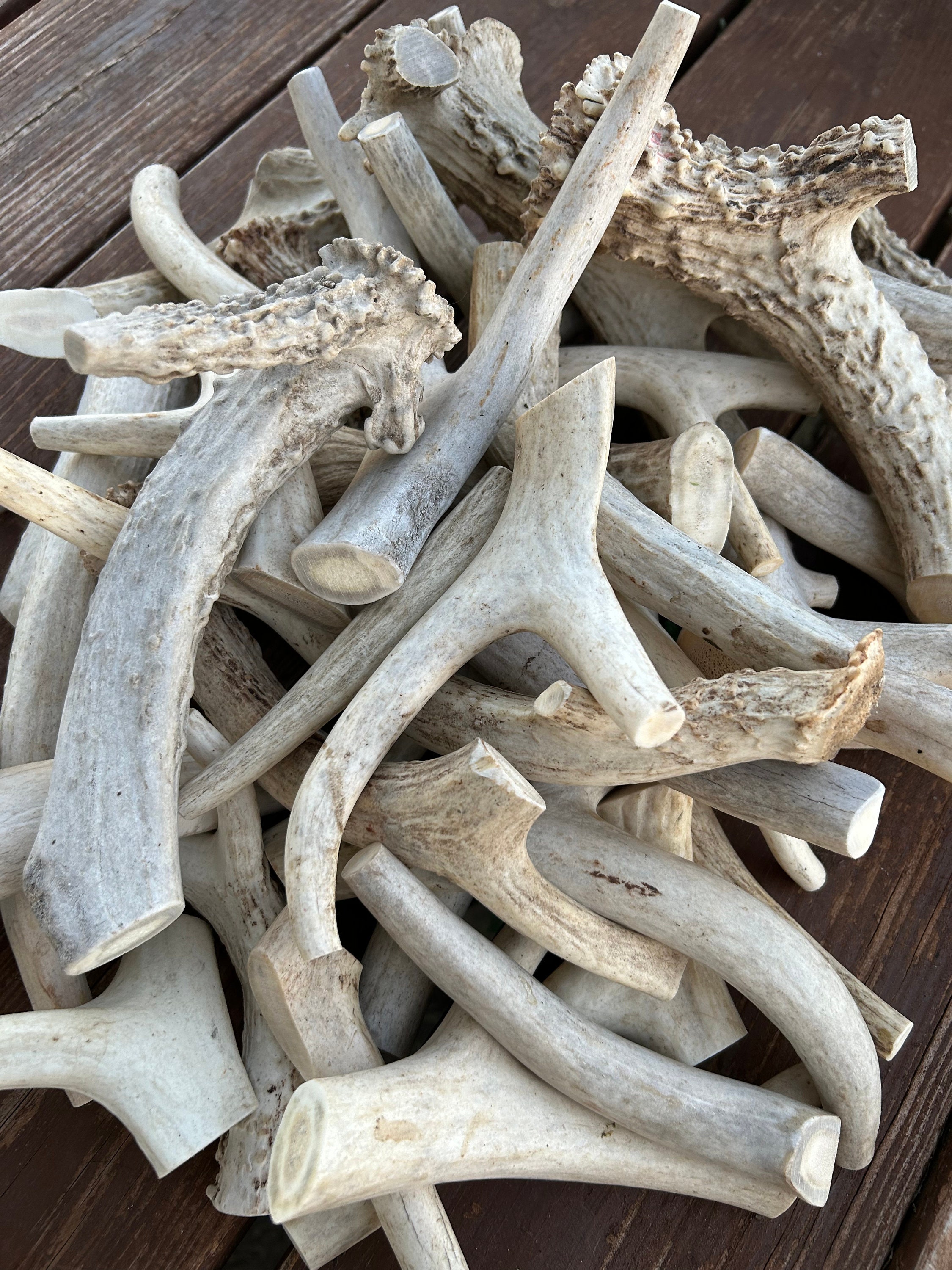 Confezione risparmio da 1 libbra! Masticativi per cani in corna di cervo di grado B. Pacchetto economico. Masticativo per cani in corna di cervo naturale. Masticativo per cani in corna di cervo. Tutto ciò che riguarda le corna di cervo