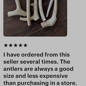 B Grade Antler Dog Chews: All Things Antler, 1 Pound Value Pack image 10