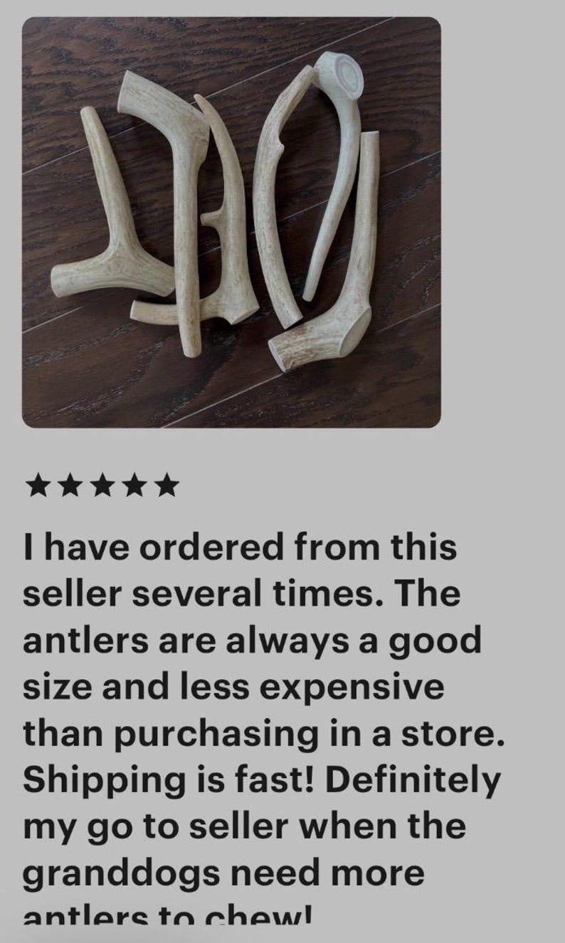 B Grade Antler Dog Chews: All Things Antler, 1 Pound Value Pack image 10