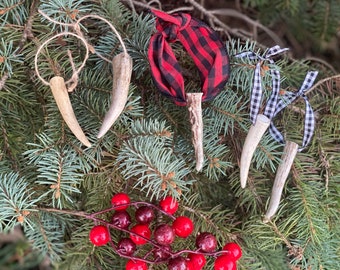 5 Pack Antler Ornaments. Rustic Christmas ornaments. Deer antler tine ornaments. Pack of 5 ornaments.