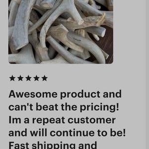 B Grade Antler Dog Chews: All Things Antler, 1 Pound Value Pack image 17
