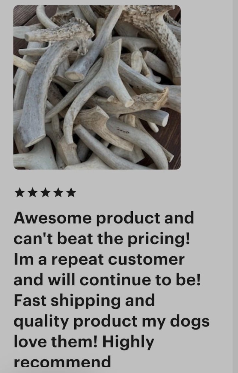 B Grade Antler Dog Chews: All Things Antler, 1 Pound Value Pack image 17