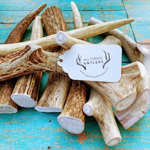 3 Pack Large whole Elk/deer antler chews! Real antler dog chews. Elk antler dog chews. Deer antler dog chews. 3 pack deal! All Things Antler