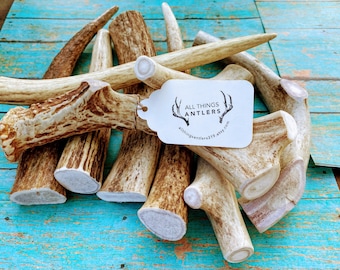 Grandes masticables de asta de alce y ciervo - Paquete de 3, premios naturales para perros