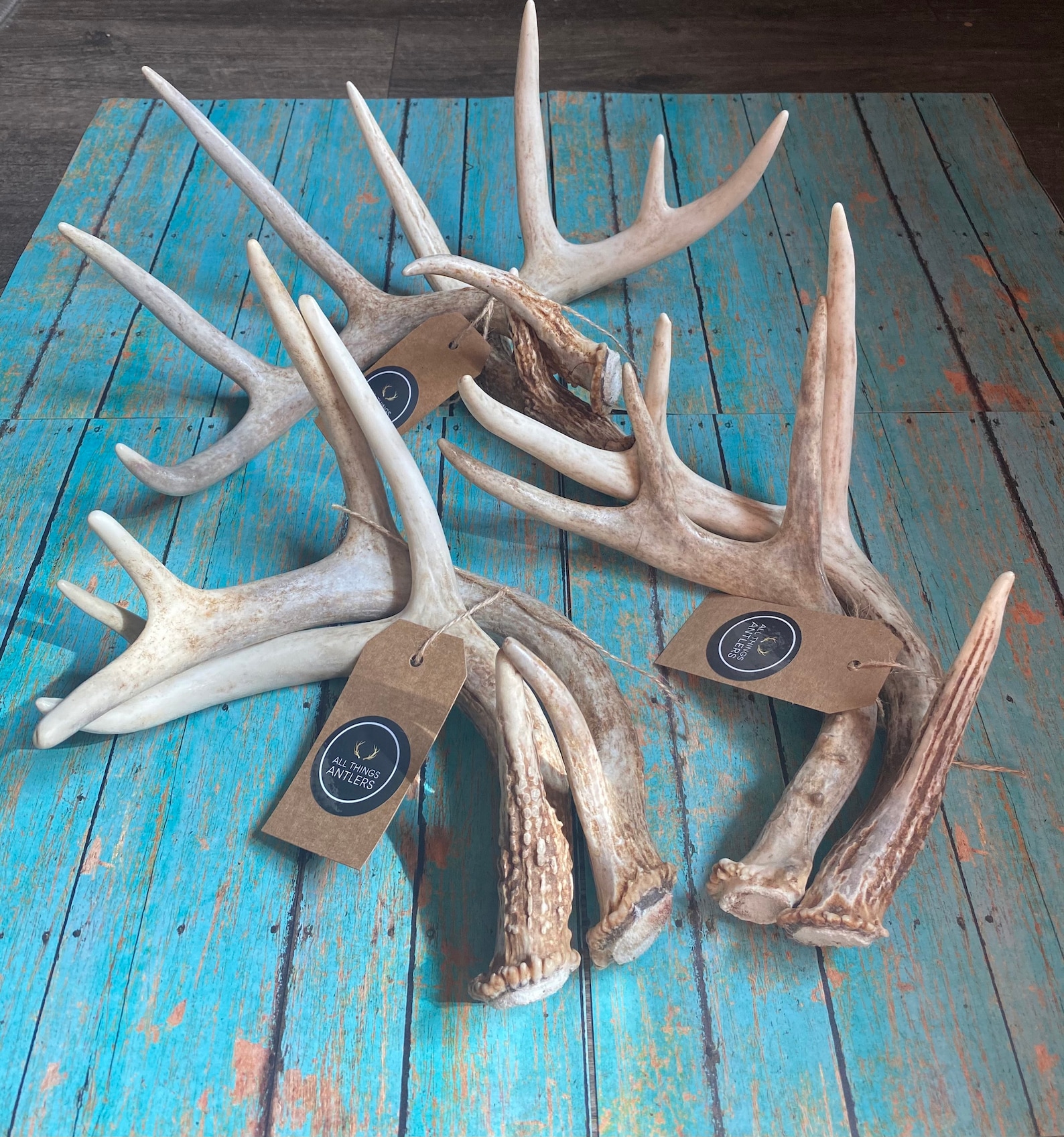 2 Pack Deer Antler. Craft Antler. Grade A Deer Antler. Shed Antlers Etsy