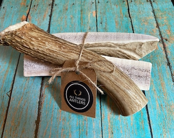 Paquete de 3 masticables grandes de asta de alce/ciervo para perros – Golosina dental natural rica en médula