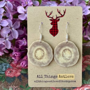 Sterling Silver and Real Deer Antler Earrings.Natural Earrings. Lightweight. Antler Jewelry.