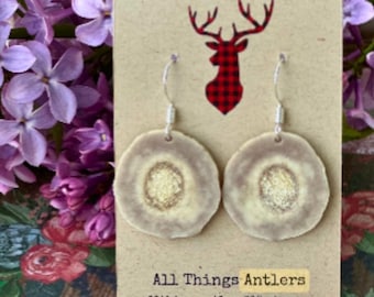 Sterling Silver and Real Deer Antler Earrings.Natural Earrings. Lightweight. Antler Jewelry.
