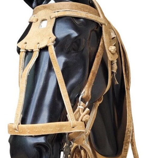 Argentina RAWHIDE BRIDLE Horse HEADSTALL Rein Halter Leather Headpiece Gaucho Western Cowboy