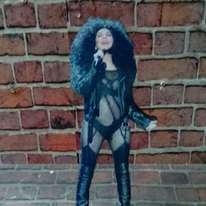 CHER DISPLAY 8" STANDEE Figure Statue Cherilyn Sarkisian Cutout Standup Music Doll Toy Decor