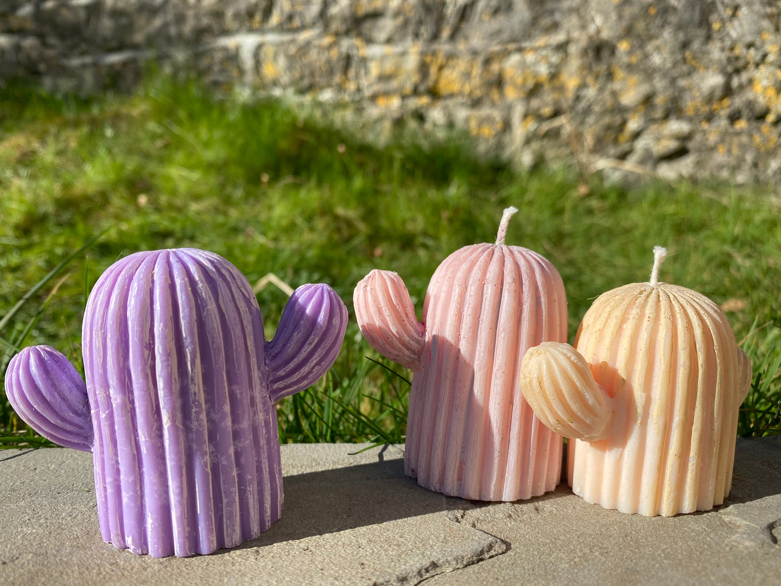 2 Vegan Cactus Candles Etsy