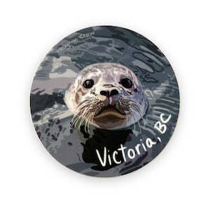 Puede incluir: Primer plano de la cara de una foca com&uacute;n asom&aacute;ndose al agua. La foca tiene ojos oscuros y una nariz h&uacute;meda de color gris. El fondo es una imagen borrosa de agua con el texto "Victoria, BC" en blanco.