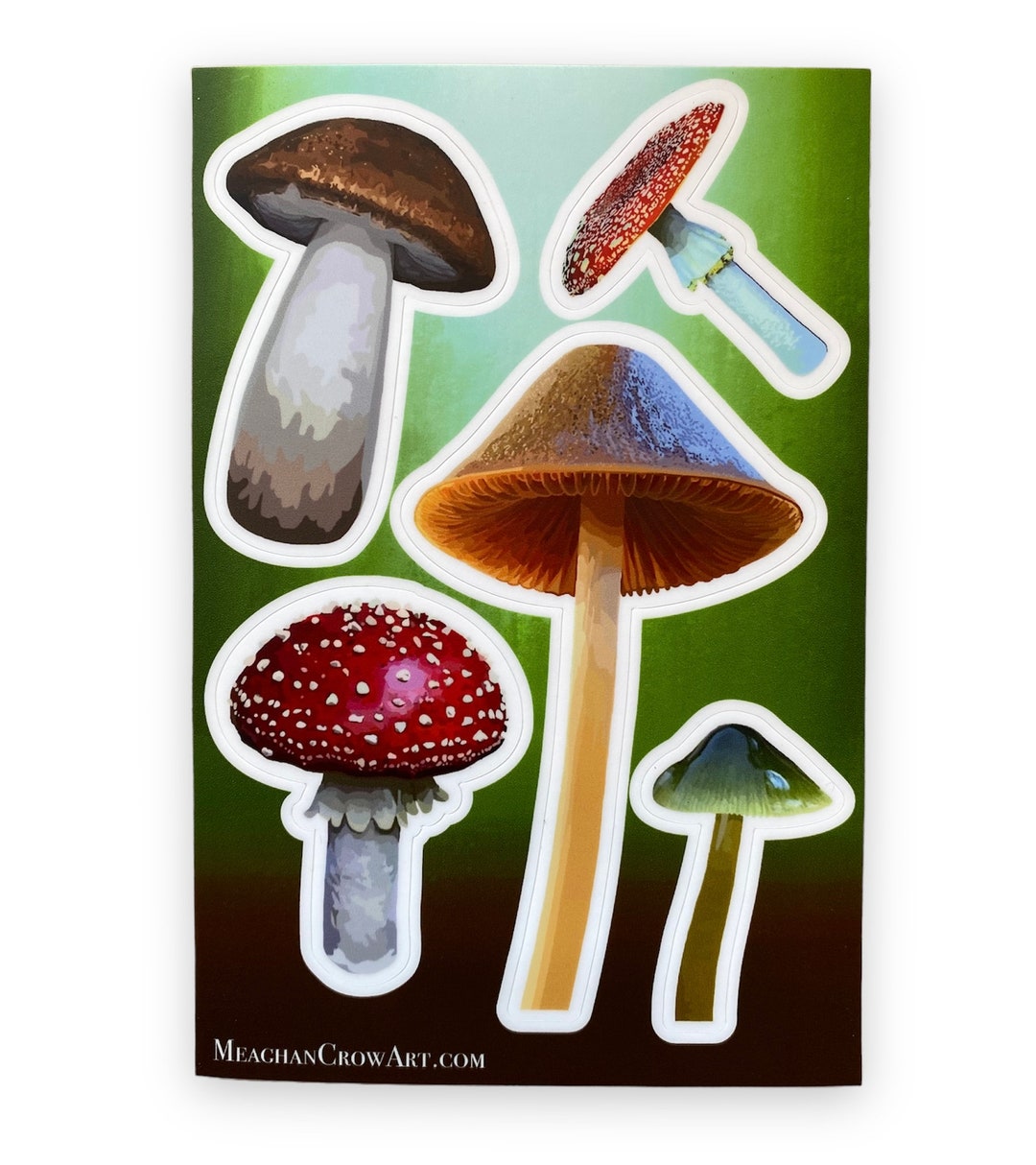 Mushroom Sticker Sheet Vinyl Sticker Sheets Mushroom Gifts Mushroom