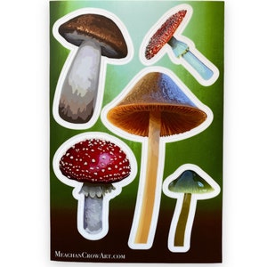 Mushroom Sticker Sheet- Vinyl Sticker Sheets- Mushroom Gifts- Mushroom Laptop Stickers- Mushroom Water Bottle Stickers-Mushroom Sticker Pack