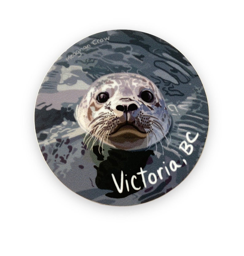 Puede incluir: Primer plano de la cara de una foca com&uacute;n asom&aacute;ndose al agua. La foca tiene ojos oscuros y una nariz h&uacute;meda de color gris. El fondo es una imagen borrosa de agua con el texto "Victoria, BC" en blanco.
