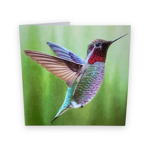 Tarjeta de colibrí- Arte de colibrí- Pintura de colibríes- Tarjeta de felicitación de pájaros- Artistas de la isla de Vancouver- Regalos de colibríes- Colibrí de verano