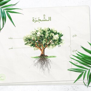 May include: A watercolour illustration of a tree with the Arabic word "الشجرة" (meaning "the tree") at the top. The tree has roots, a trunk, branches, and leaves. The illustration is labelled with Arabic words for the different parts of the tree.