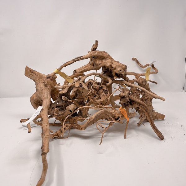 Bulk Spiderwood/Driftwood Assortment - 2 to 3 lb Bulk (5 in-16 in) - Perfect for Terrariums and Aquariums