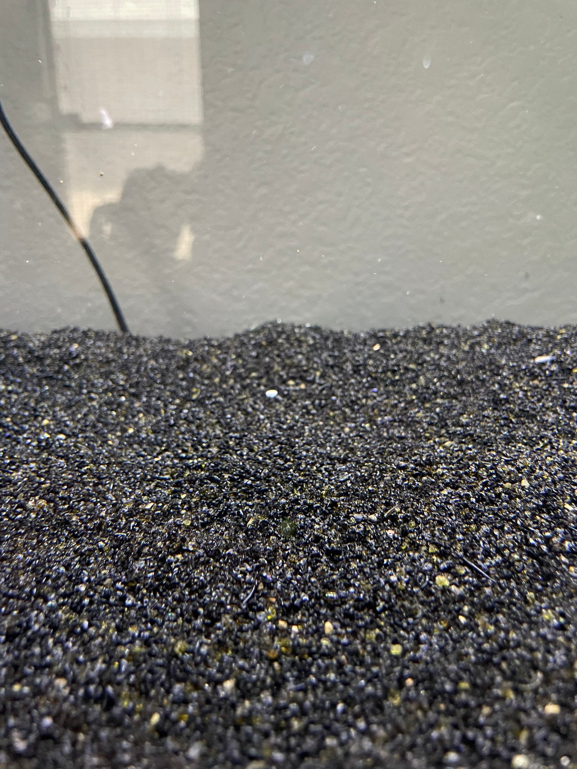 Black Aquarium Substrate // Medium Sand // Black Aquarium Sand Etsy