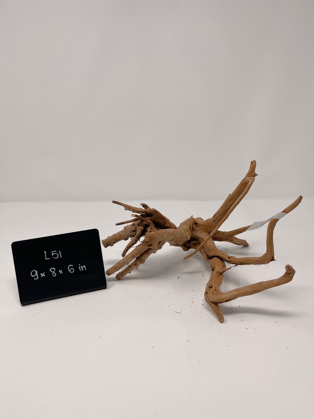 Large Spider Wood for Aquariums and Terrariums L6 / Natural Etsy