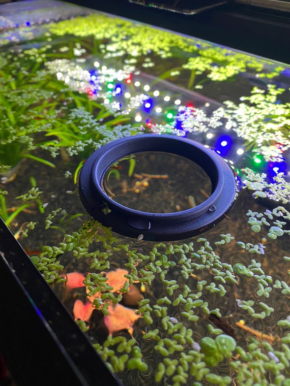 Feeding Floating Ring for Betta Fish Goldfish Tank Aquarium Plants