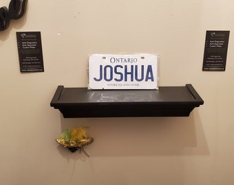 Joshua || Bicycle/ Toy car/ kids car/ kids bedroom Size 3x6 Inches Custom & Personalized 3D Printed Aluminum License Plate Style