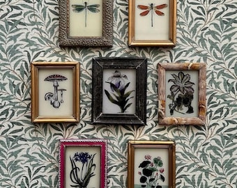 Vintage miniature Indian reverse glass painting mini framed kids childrens bedroom bathroom botanicals florals dragonfly