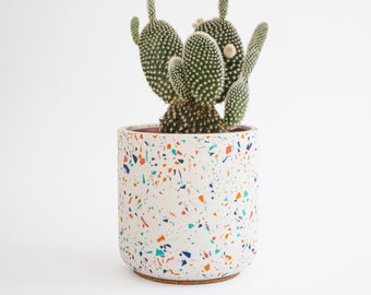 Pots de plantes en terrazzo Jamboree