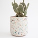 see more listings in the Pots section