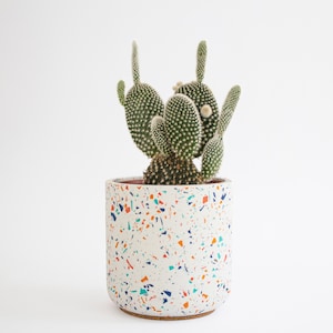 Jamboree Terrazzo Plant Pots