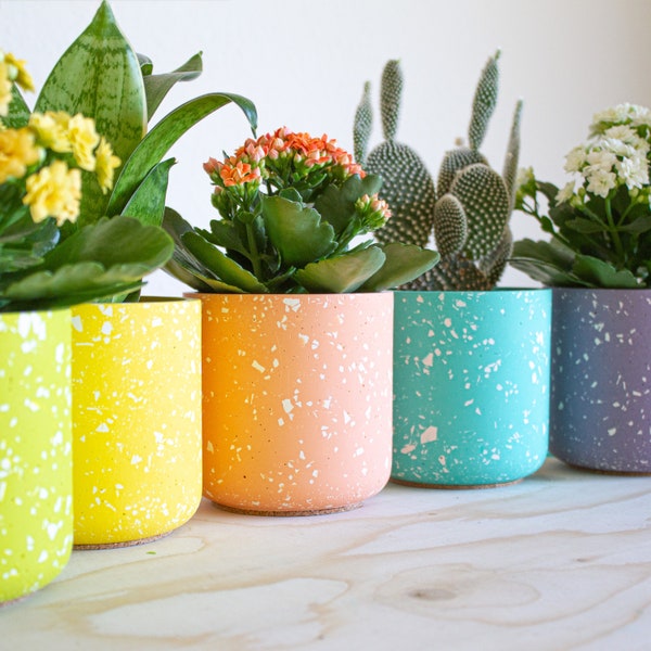 Pot de plantes en terrazzo