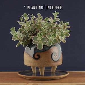 May include: A handcrafted ceramic planter with a dark blue glaze and a brown base, featuring a unique spiral design. The planter sits on three small legs and includes a matching saucer. The text "* PLANT NOT INCLUDED." is visible.