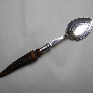 May include: A silver spoon with a decorative handle made of dark brown wood. The spoon has a rounded bowl and a pointed tip.