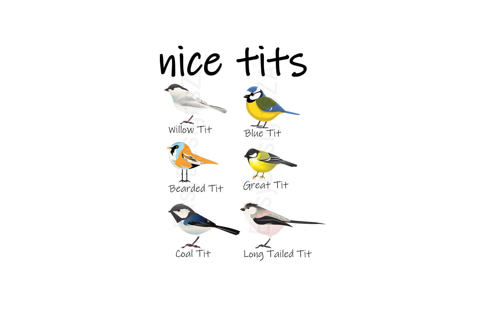Www Nicetits Com
