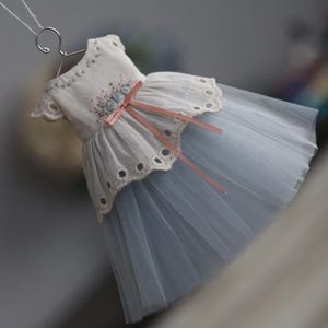 Romantic dress for Blythe, flower rose embroidery Blythe dress, antique blythe Dress , blythe tutu, blythe embroidery dress, Blythe doll