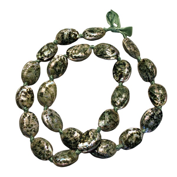 Green Abalone Polished Hawaiian Shell Lei Necklace 30 inch