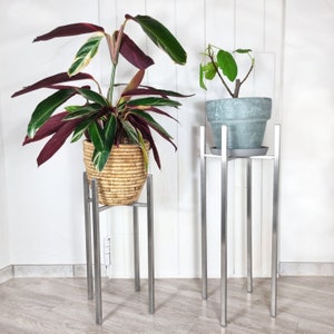 May include: Two silver plant stands with two potted plants. The plant on the left is a green and red tropical plant in a woven basket. The plant on the right is a green plant in a gray ceramic pot.
