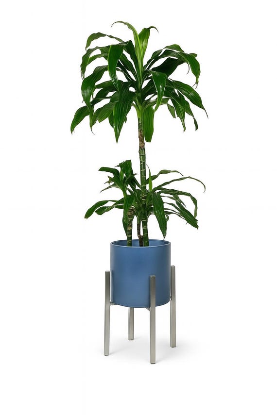 ⑤植物 台座 オリジナル ステンレス製 Amazon | フラワーラッ観葉植台