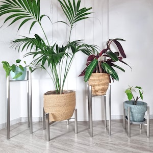 May include: Three potted plants on metal plant stands. The plants are a large green palm, a red-leafed plant, and a small green plant. The stands are silver and have a simple design.